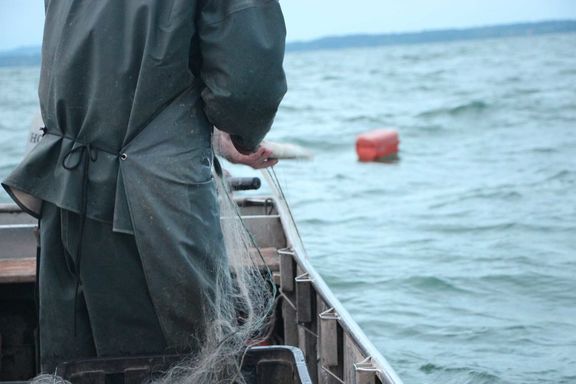 Berufsfischerei Thomafischer